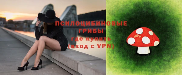 стафф Волоколамск