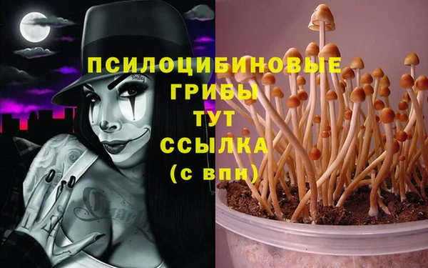 дживик Волосово