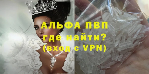 стафф Волоколамск