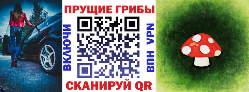 kraken   Богородск  Псилоцибиновые грибы Magic Shrooms 