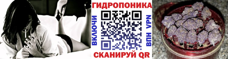 Бошки Шишки планчик  блэк спрут ТОР  Богородск 